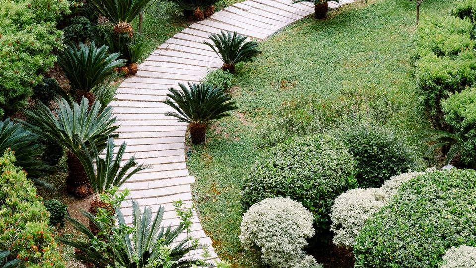 The gardens at Ashcombe House
